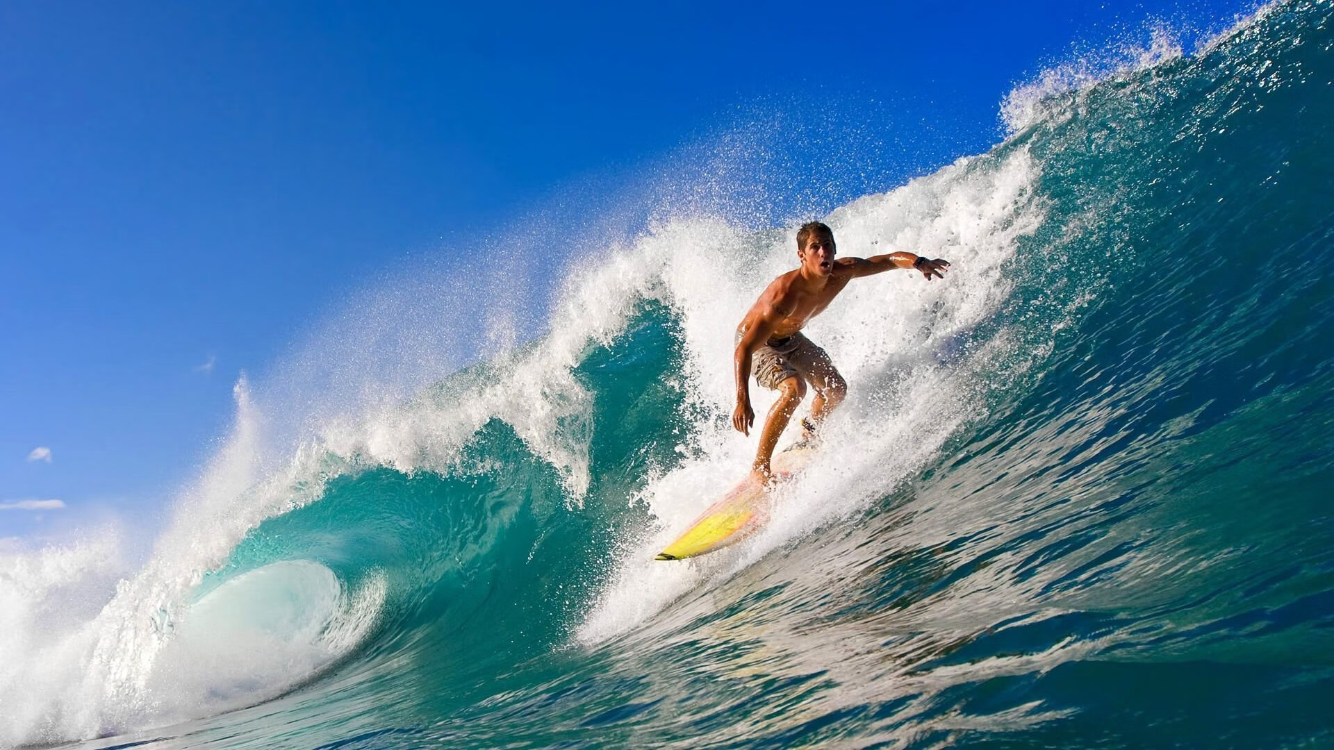 中国香港队赛制解析：团体比赛中如何精准配合与分工，香港队伍